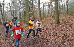 5c25fc778dcf8_20181216130536.jpg