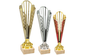 Remise des trophées pour les compétitions 2022/2023 et Assemblée générale